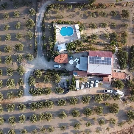 Bed and Breakfast Terra Nostra Cattolica Eraclea Exterior foto